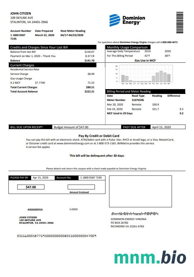 USA Dominion Energy rachunek za media szablon w formacie Word i PDF
